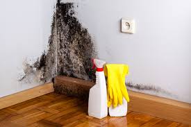 Best Residential Mold Inspection & Testing in Clifton Forge, VA